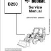 Repair Manual, Service Manual, Workshop Manual