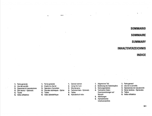 OM PIMESPO FIAT DI30CH, DI35CH, DI40C, DI50C Workshop Operating Repair Manual - Image 5